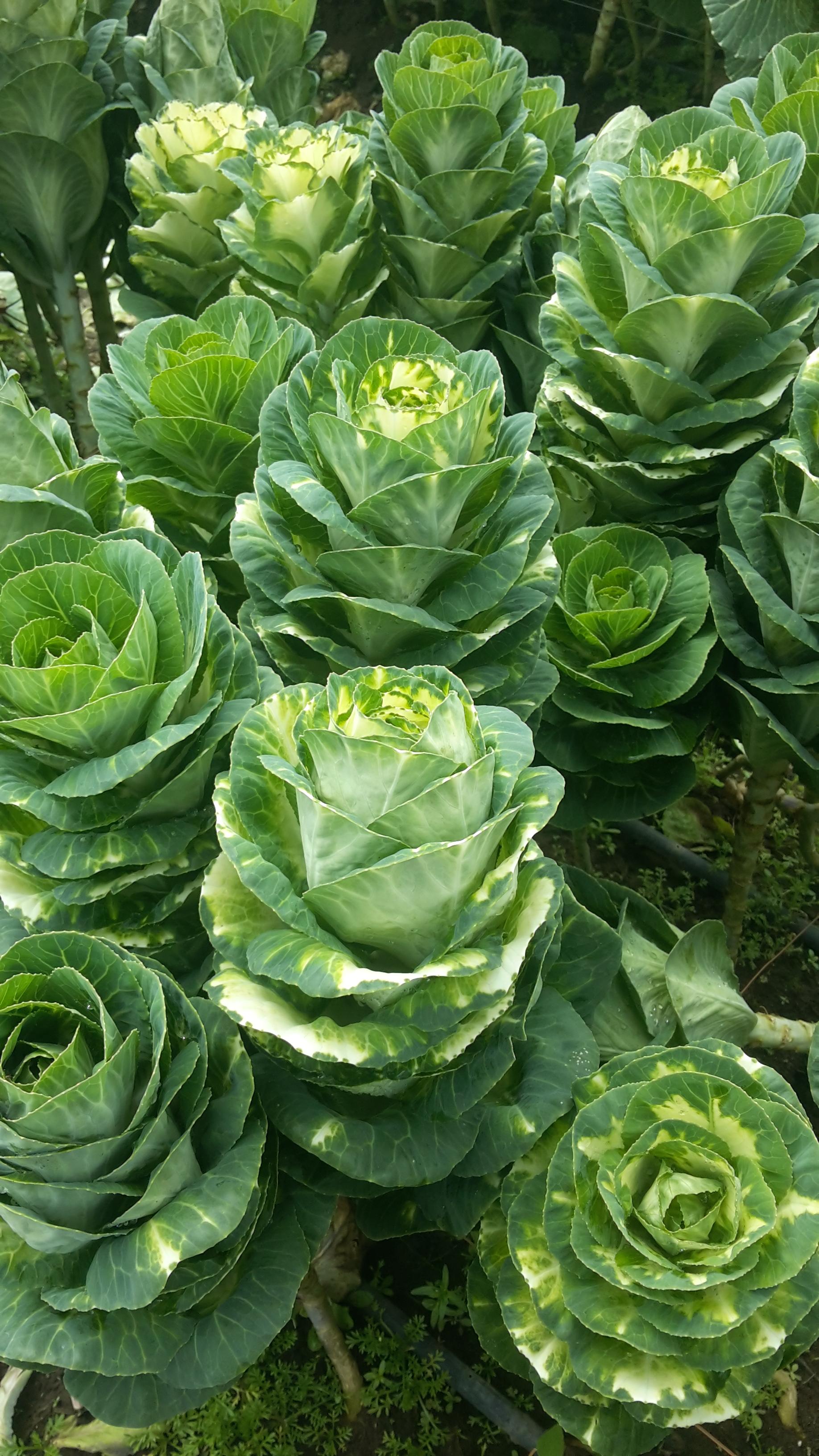 20170513_111300