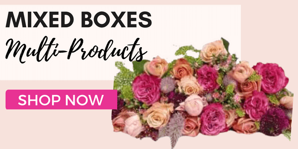 Mixed Boxes