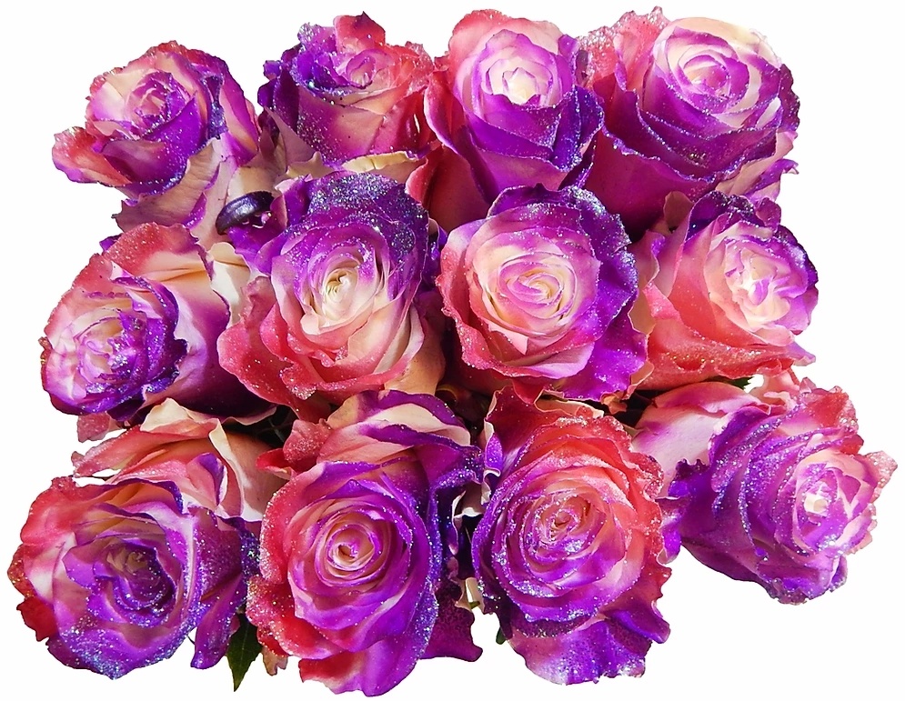 Airbrush_Roses___Glitter