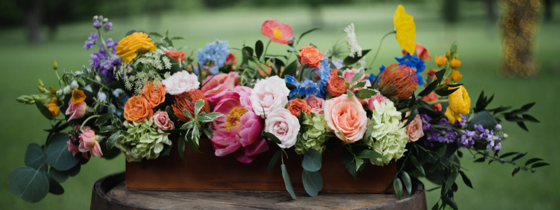 Flower variety and vase-life