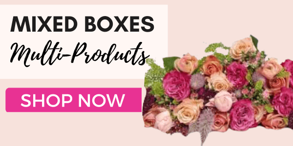 Mday-Mixed boxes