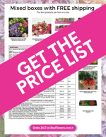 Mothers Day Pre-book pricelist