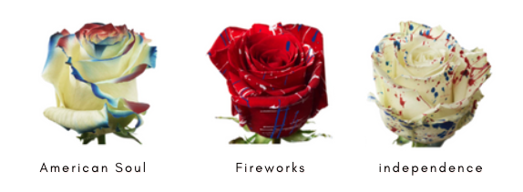 tinted memorial day roses and flowers