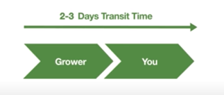 The supply chain of ibuyflowers