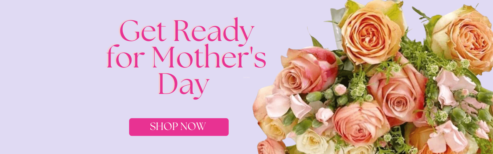 Premium wholesale flowers