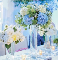 blue sky summer
