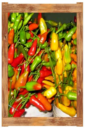 chil_peppers