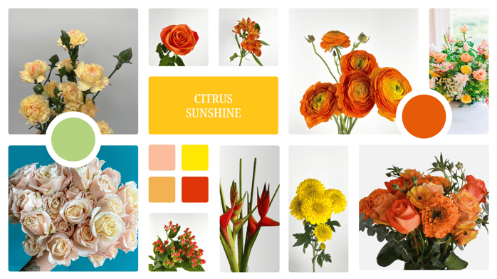 citrus sunshine