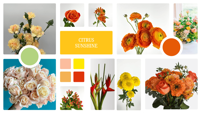 citrus sunshine1