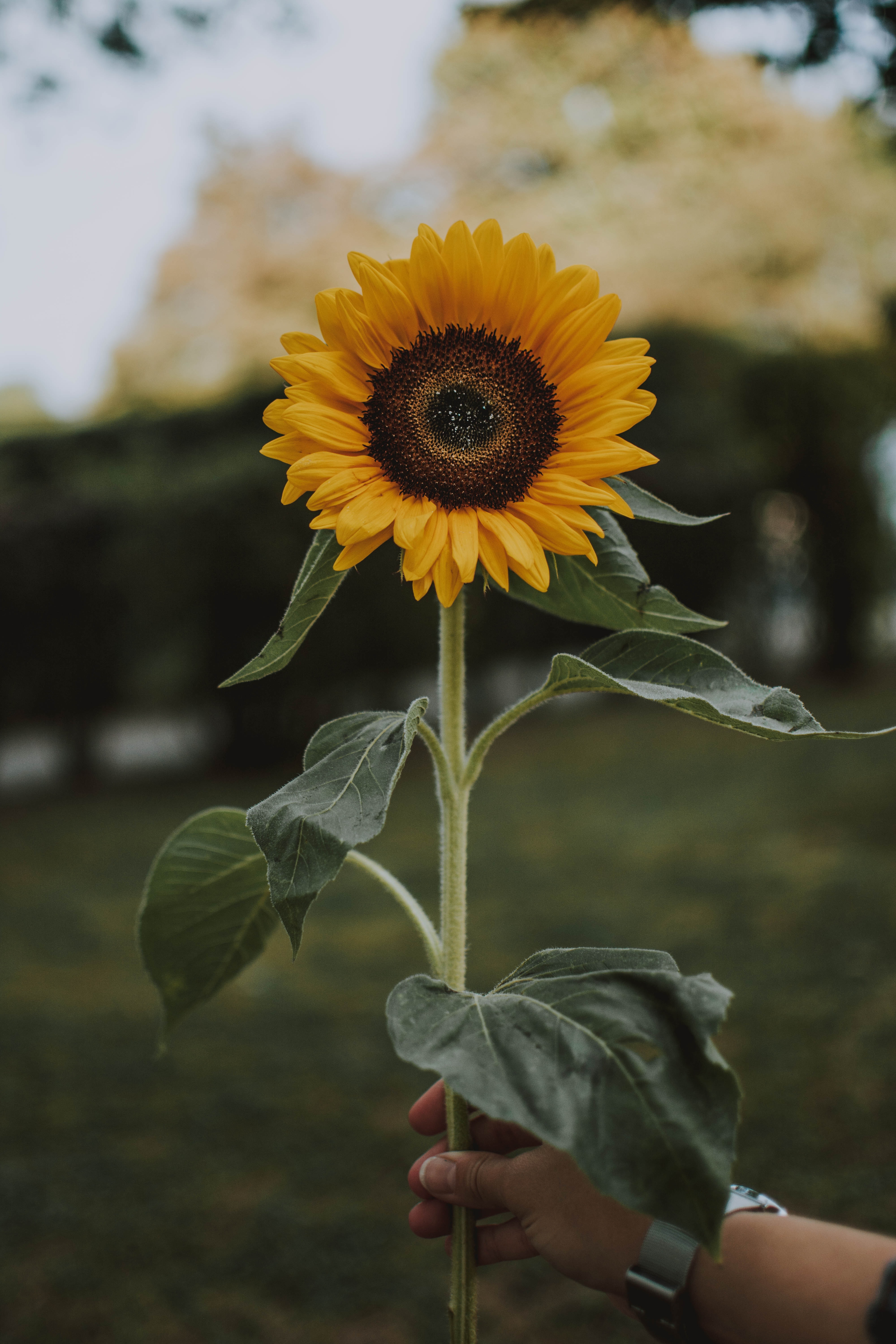 fotografierende-Na6tH0QLg6Y-unsplash (1)