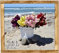 gallery_stock_small