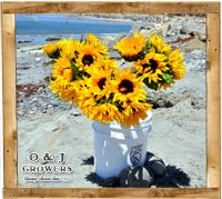 gallery_sunflower1_small