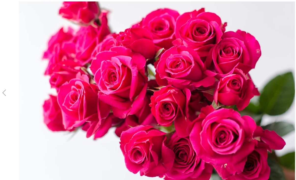 Meet an iBuyFlower grower