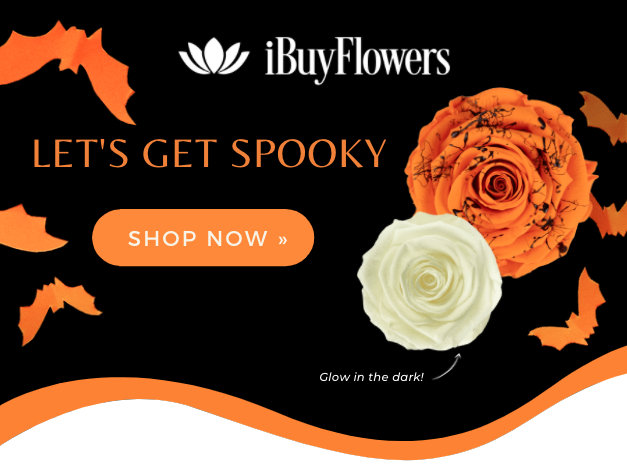 wholesale preserved roses halloween collection available