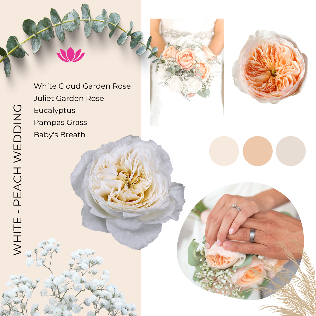 white - peach wedding colors