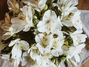 pexels-flora-westbrook-4227650