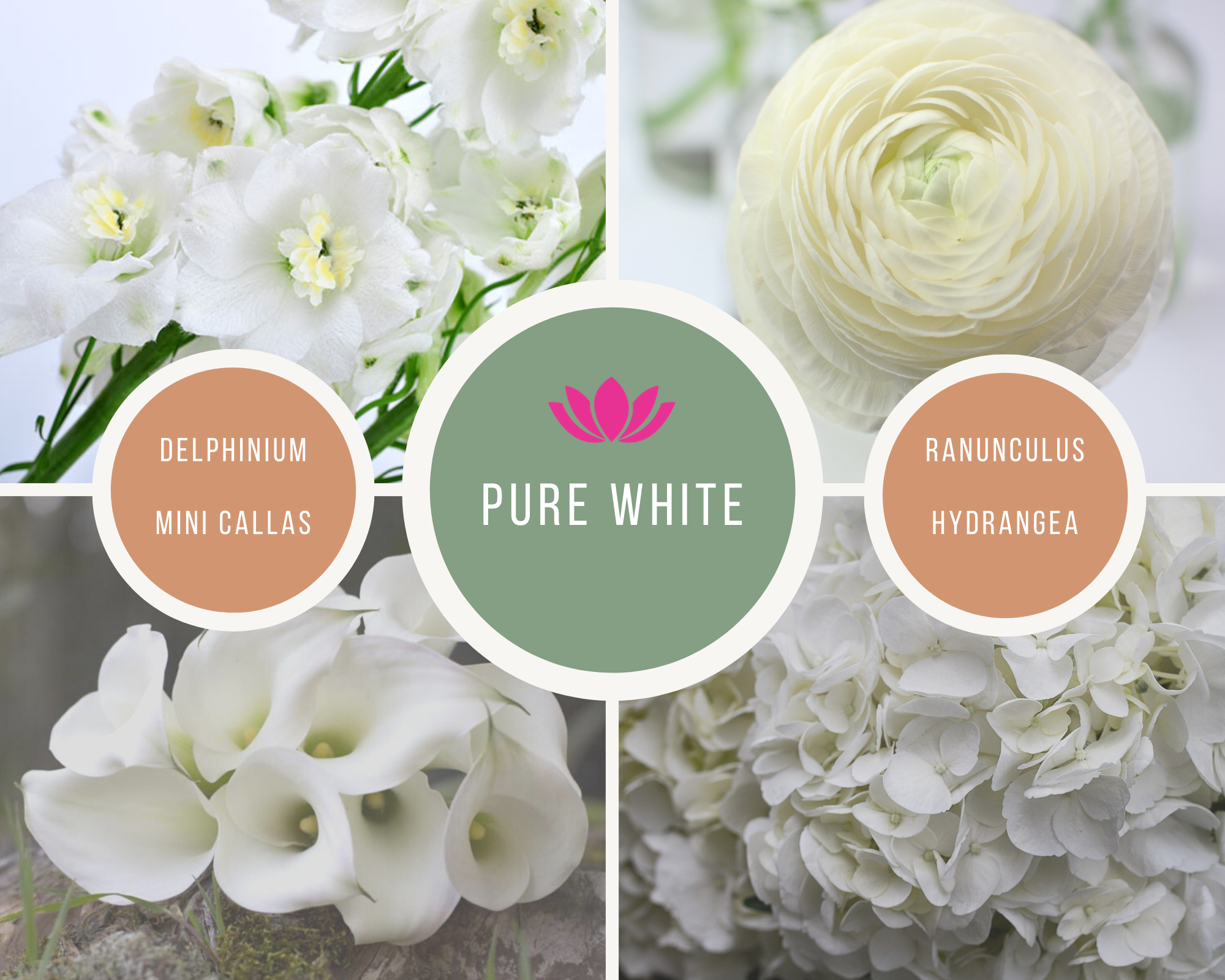 pure white -Mood boards